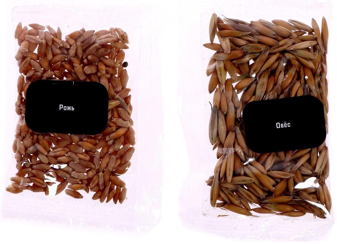 Набор для опытов «Увлекательная наука», Опыты с Земли