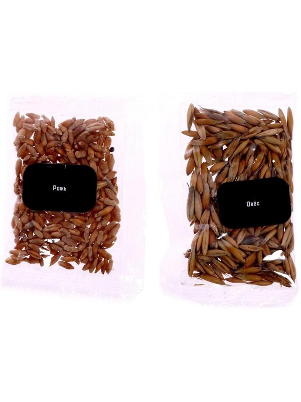 Набор для опытов «Увлекательная наука», Опыты с Земли