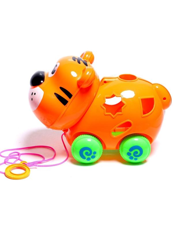 Каталка на верёвке «Тигрёнок», с сортером