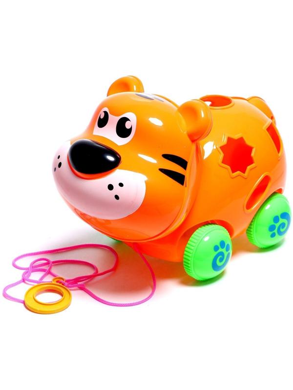 Каталка на верёвке «Тигрёнок», с сортером