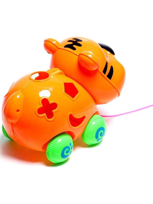 Каталка на верёвке «Тигрёнок», с сортером