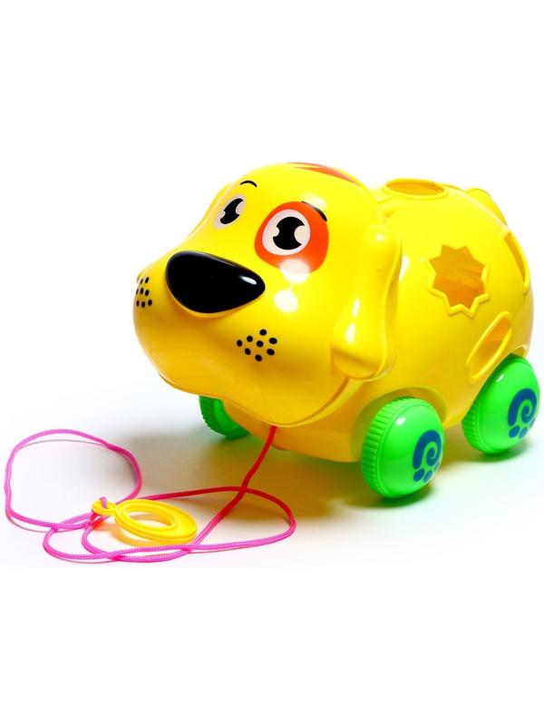 Каталка на верёвке «Пёсик», с сортером