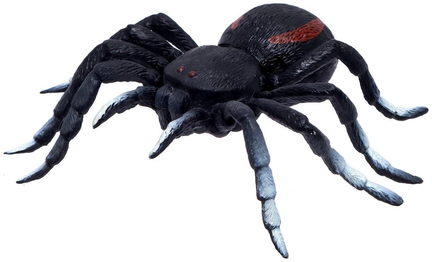 Набор животных «Жуки и пауки»