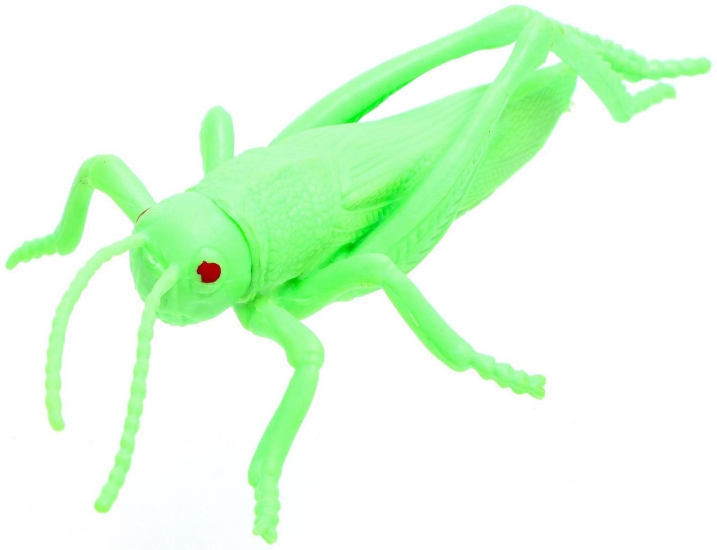 Набор животных «Жуки и пауки»