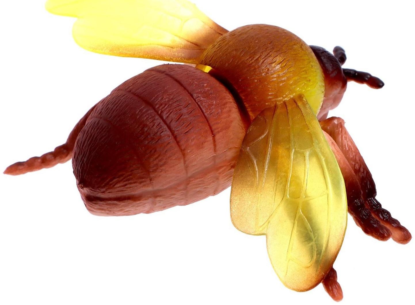 Набор животных «Жуки и пауки»