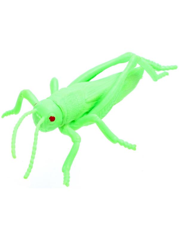 Набор животных «Жуки и пауки»