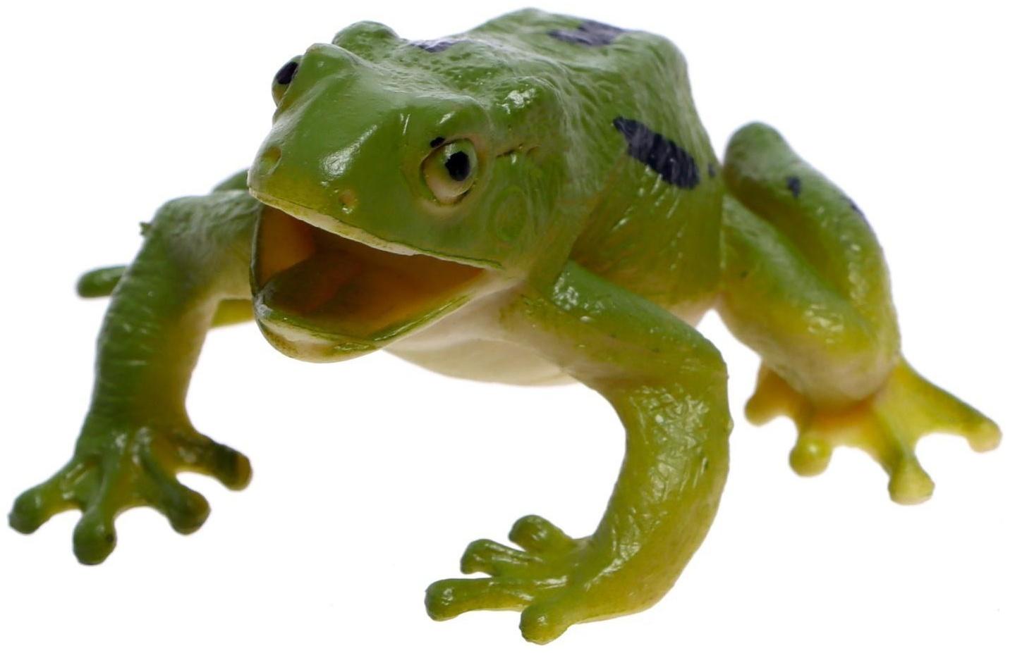 Набор животных «Насекомые и лягушки»