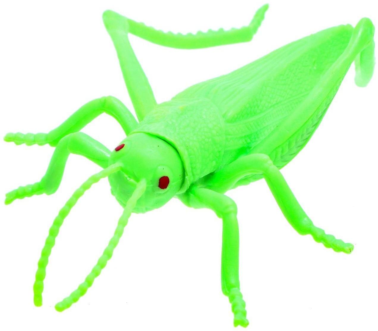 Набор животных «Насекомые и лягушки»