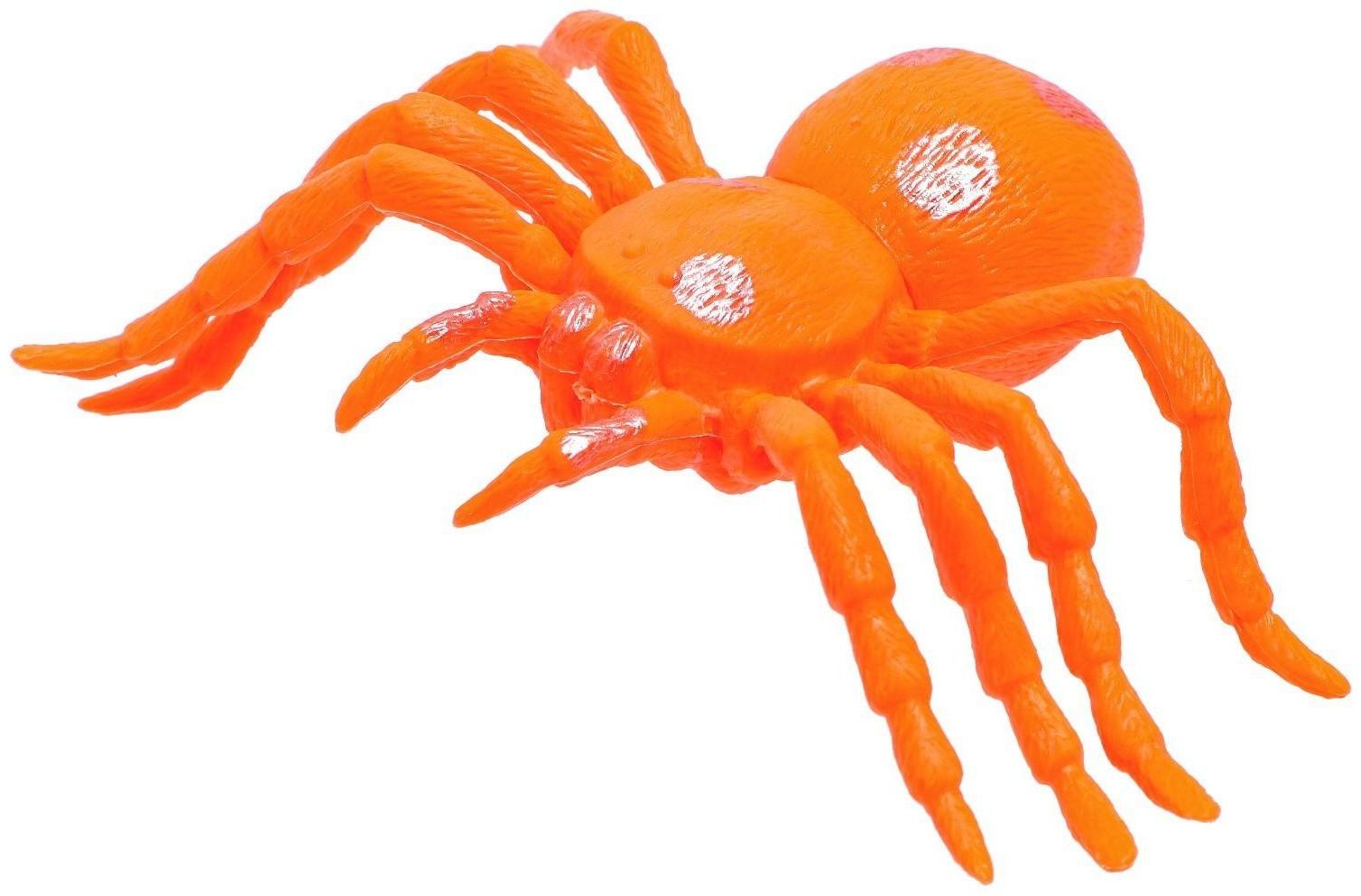 Набор животных «Насекомые и лягушки»