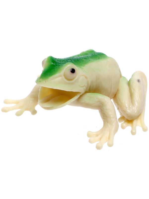 Набор животных «Насекомые и лягушки»