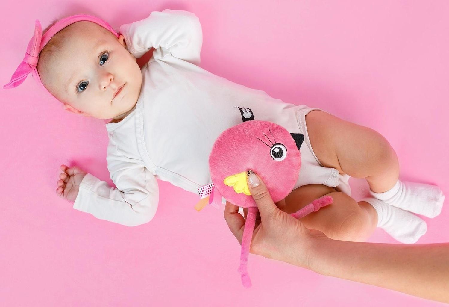 Развивающая игрушка-грелка «Птичка Люми» с вишнёвыми косточками