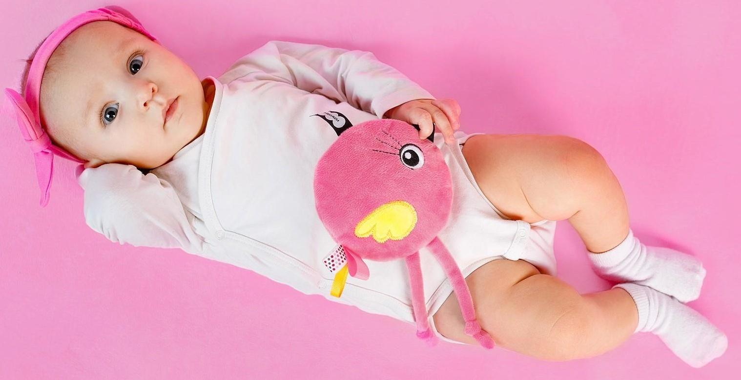 Развивающая игрушка-грелка «Птичка Люми» с вишнёвыми косточками