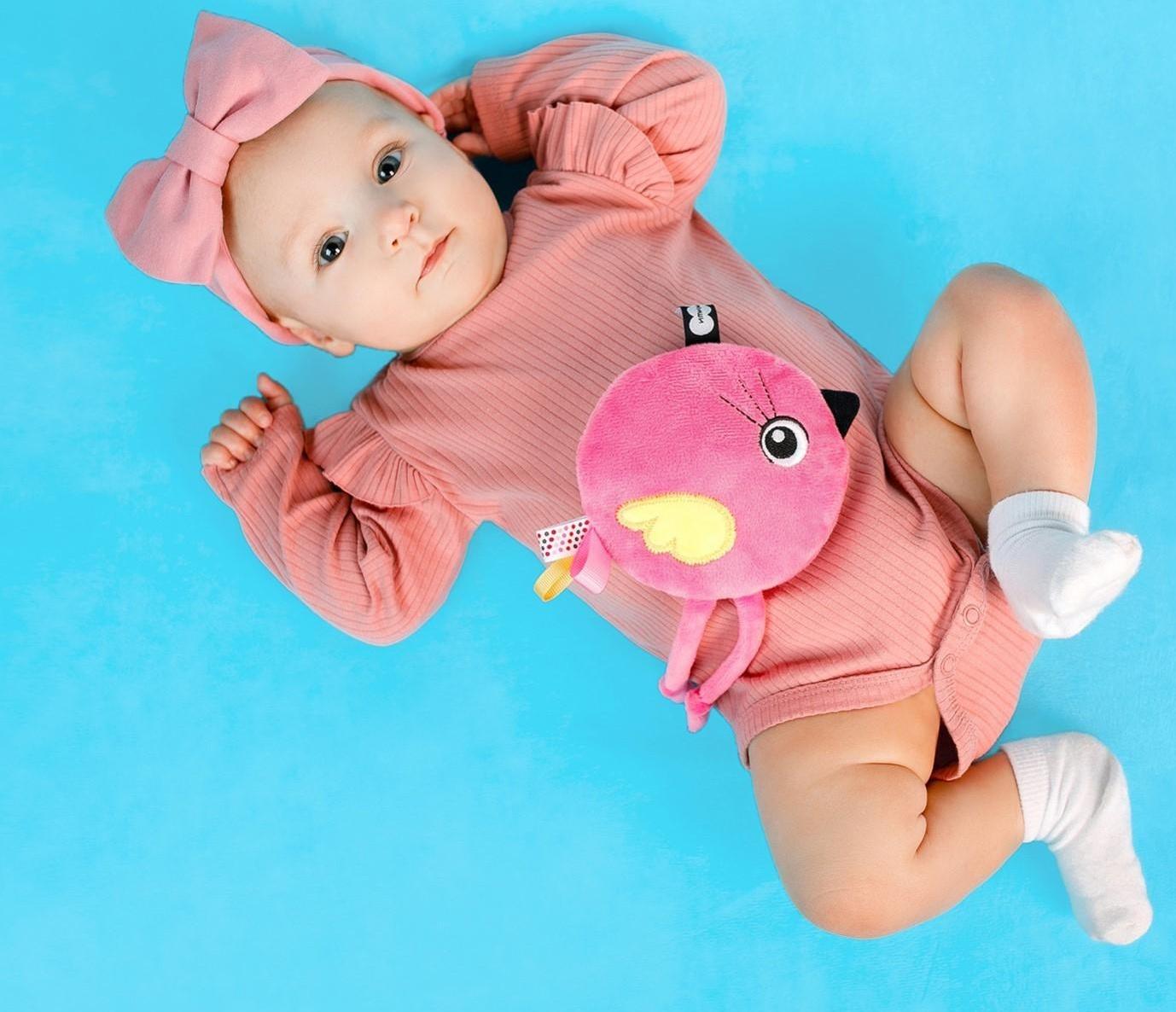 Развивающая игрушка-грелка «Птичка Люми» с вишнёвыми косточками