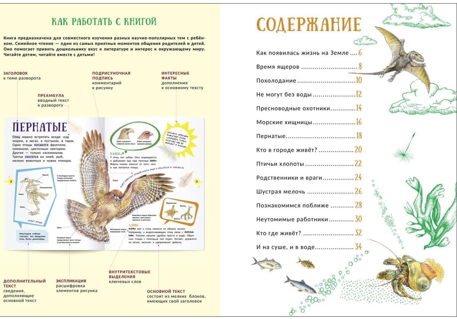 Гигантская энциклопедия для самых маленьких «Животные»