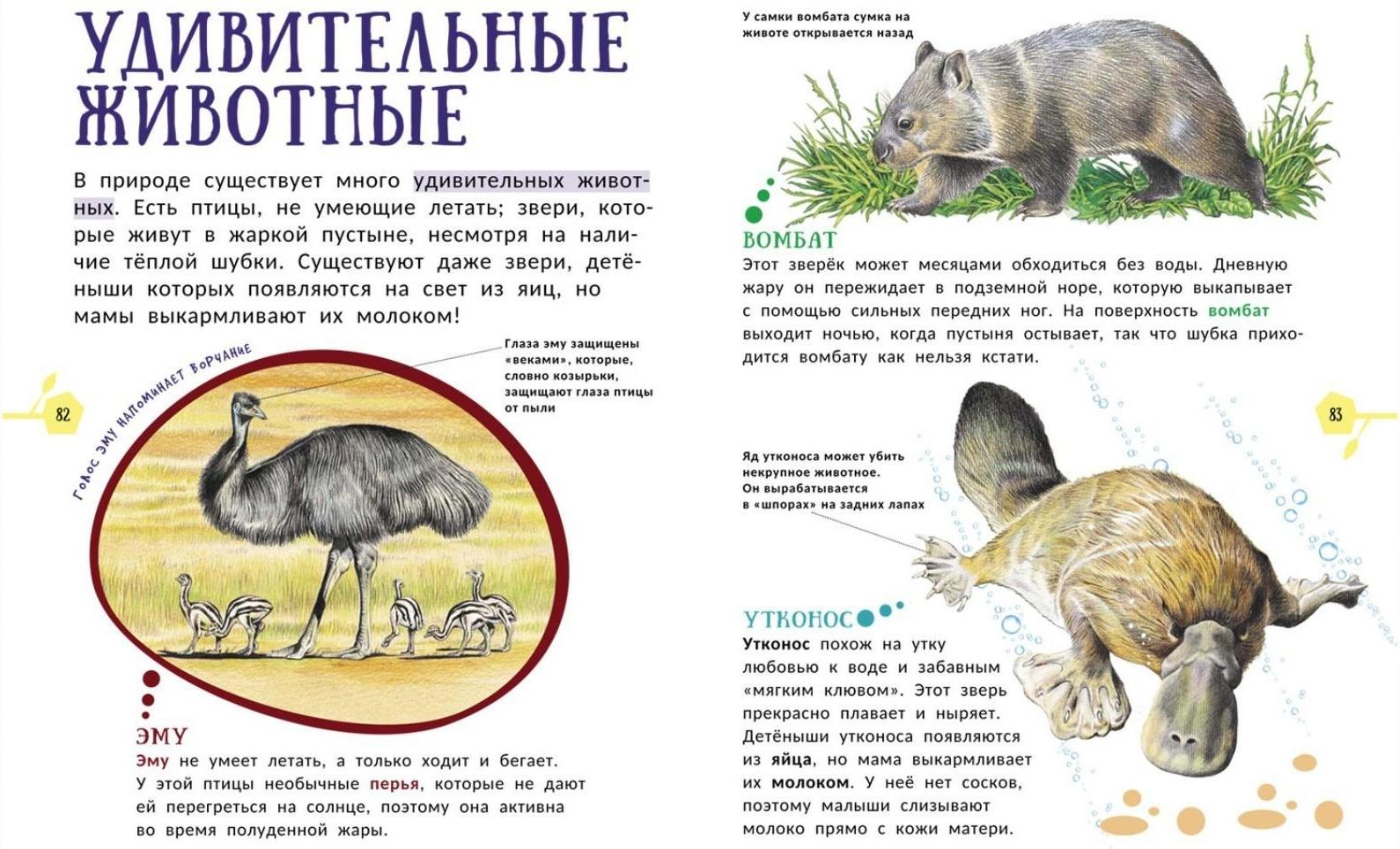 Гигантская энциклопедия для самых маленьких «Животные»