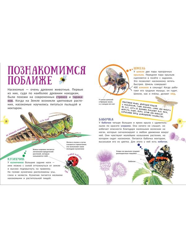 Гигантская энциклопедия для самых маленьких «Животные»