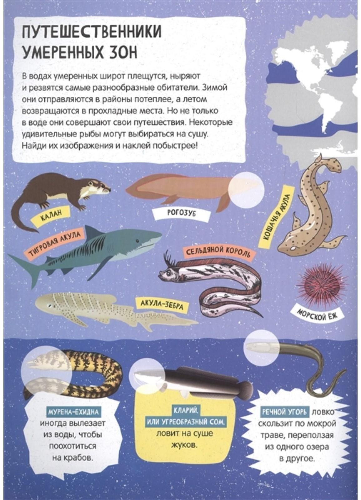 Большой атлас животного мира для детей