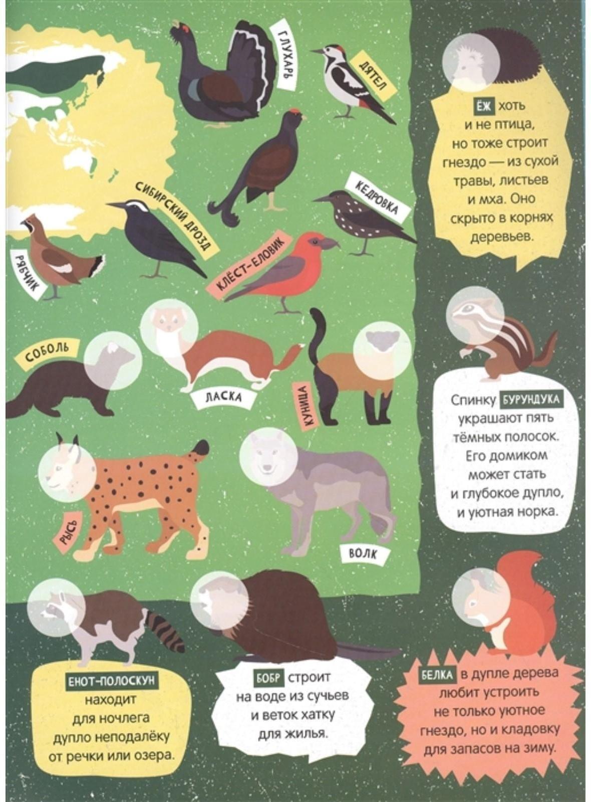 Детский атлас животных