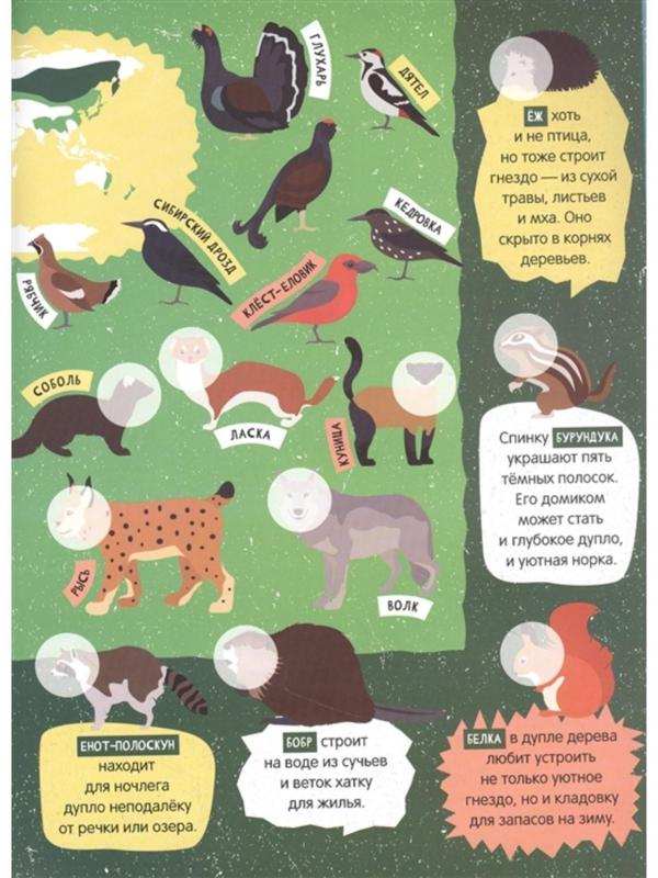 Детский атлас животных