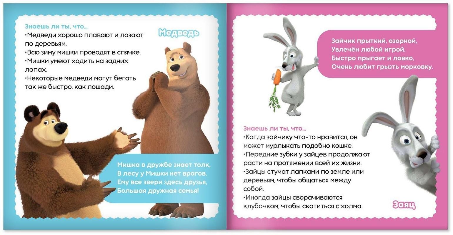 Набор обучающих книг «Маша и Медведь», 3 шт. по 32 стр.