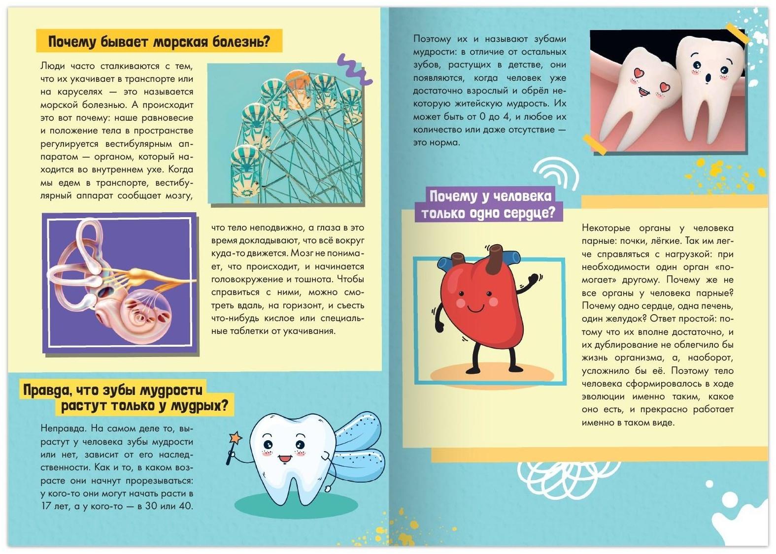 Книга обучающая «Как, зачем, почему? Секреты нашего тела», 16 стр.