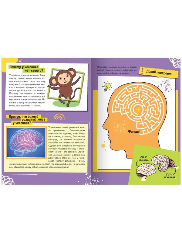 Книга обучающая «Как, зачем, почему? Секреты нашего тела», 16 стр.