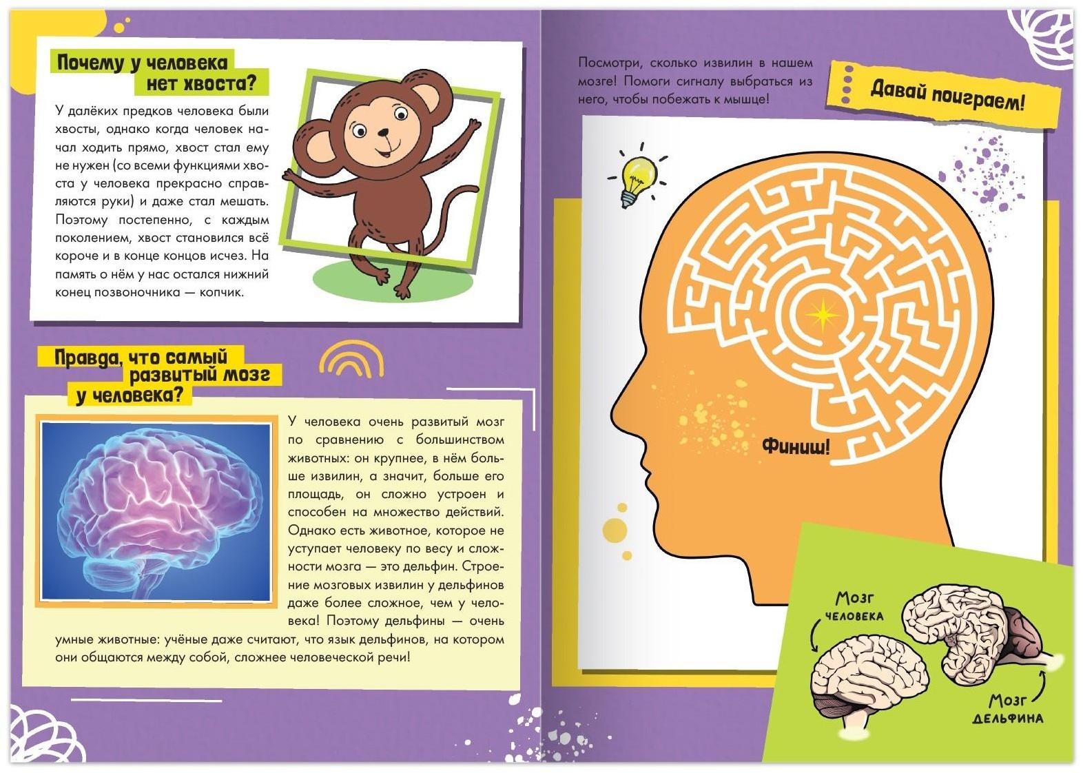 Набор обучающих книг «Как, зачем, почему?», 6 шт.