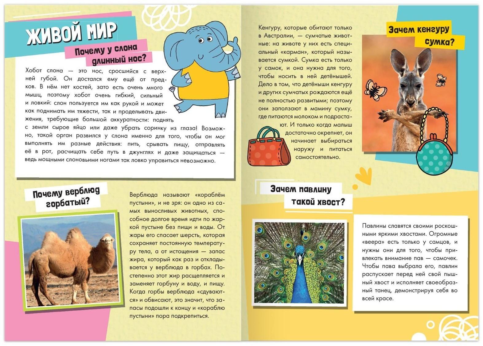 Набор обучающих книг «Как, зачем, почему?», 6 шт.