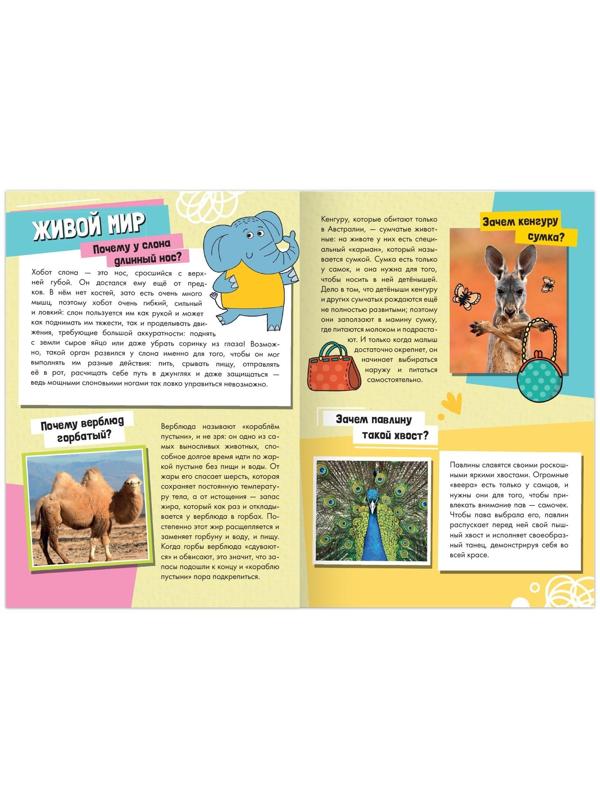 Набор обучающих книг «Как, зачем, почему?», 6 шт.