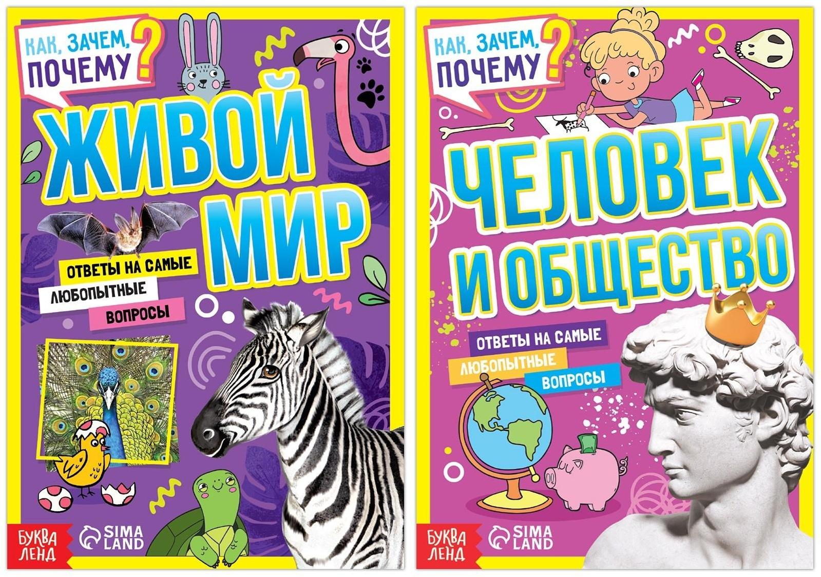 Набор обучающих книг «Как, зачем, почему? Мир, человек и общество», 2 шт.