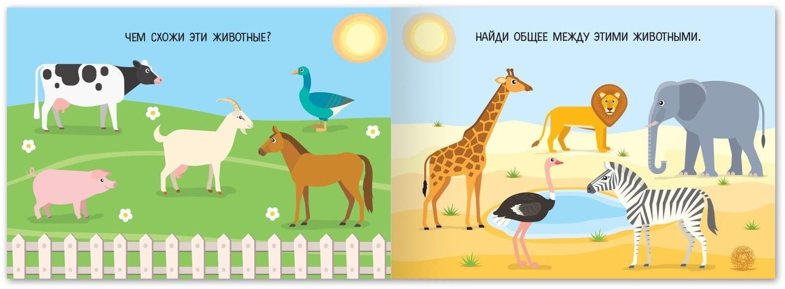 Книга с заданиями «Найди общее», от 3 лет, 24 стр.