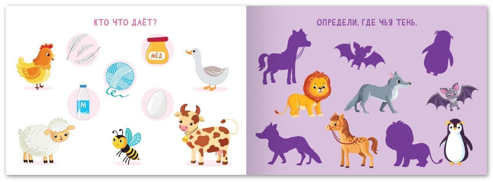 Книга с заданиями «Найди пару», от 5 лет, 24 стр.