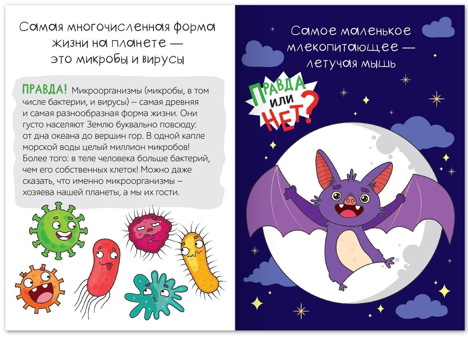 Обучающая книга «Правда или нет? Самые-самые», 44 стр.