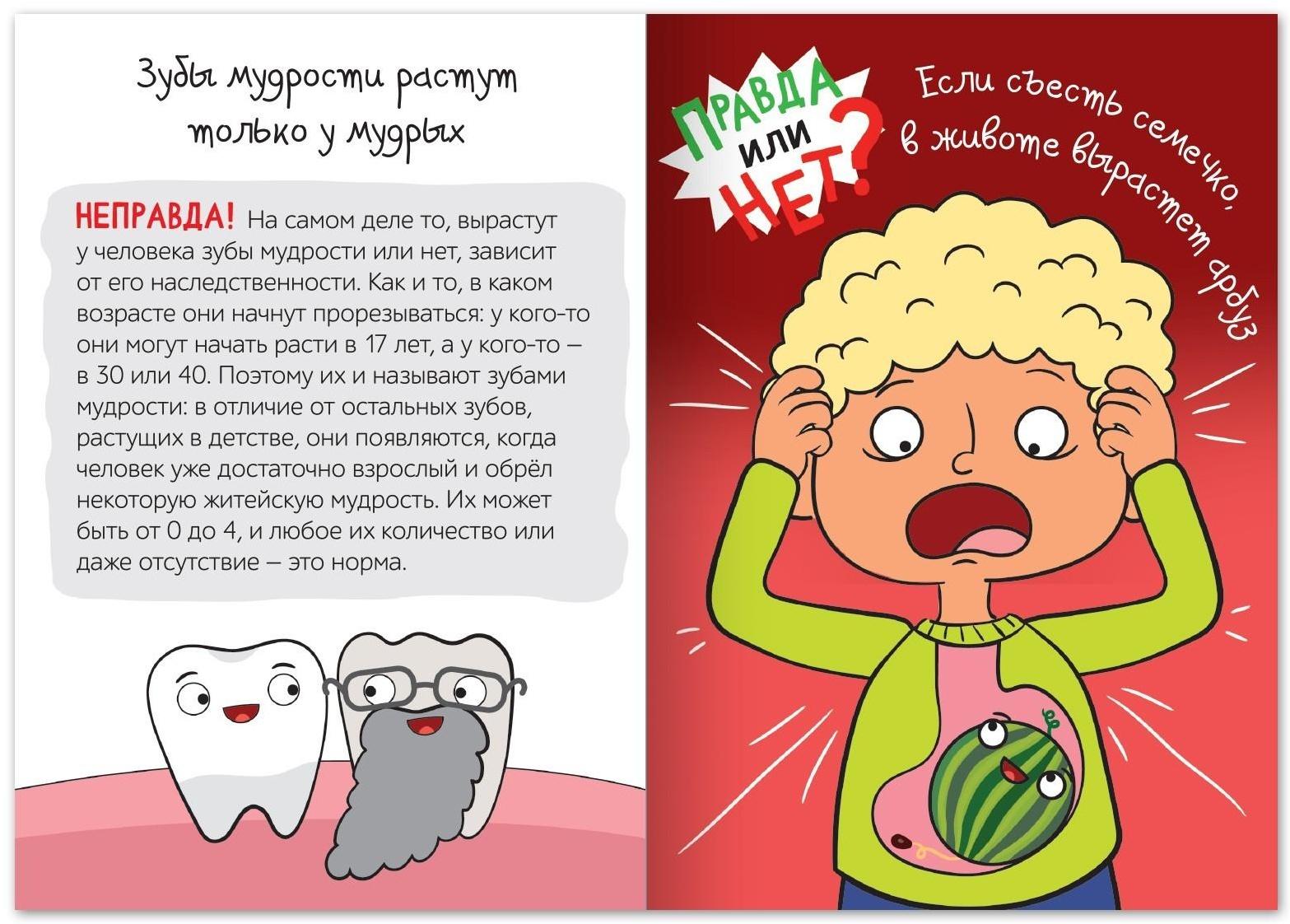 Обучающая книга «Правда или нет? Тело человека», 44 стр.