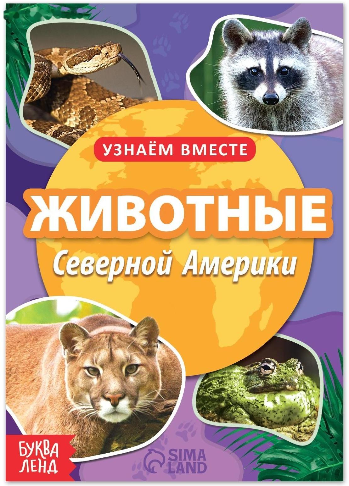 Обучающая книга «Животные Северной Америки», 20 стр.