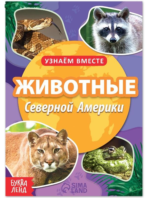 Обучающая книга «Животные Северной Америки», 20 стр.
