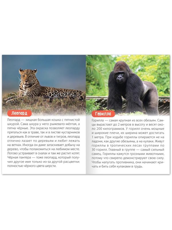 Набор обучающих книг «Узнаём вместе. Животные нашей планеты», 4 шт. по 20 стр.