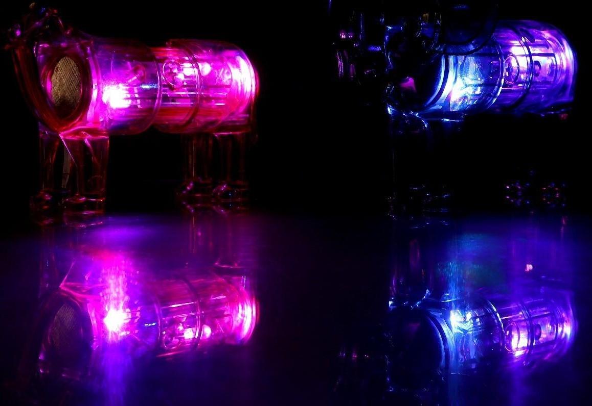 Конструктор магнитный «Животные сафари», 6 деталей