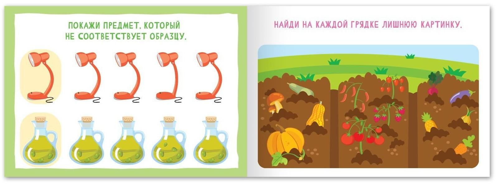 Набор книг «Найди лишнее и найди общее», от 5 лет, 4 шт. по 24 стр.