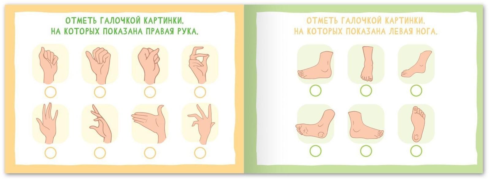 Набор книг «Найди лишнее и найди общее», от 5 лет, 4 шт. по 24 стр.