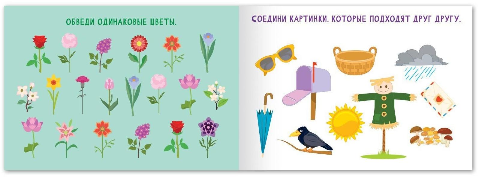 Набор книг «Найди лишнее и найди общее», от 5 лет, 4 шт. по 24 стр.