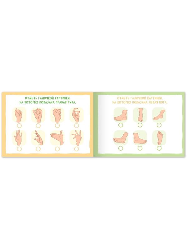 Набор книг «Найди лишнее и найди общее», от 5 лет, 4 шт. по 24 стр.