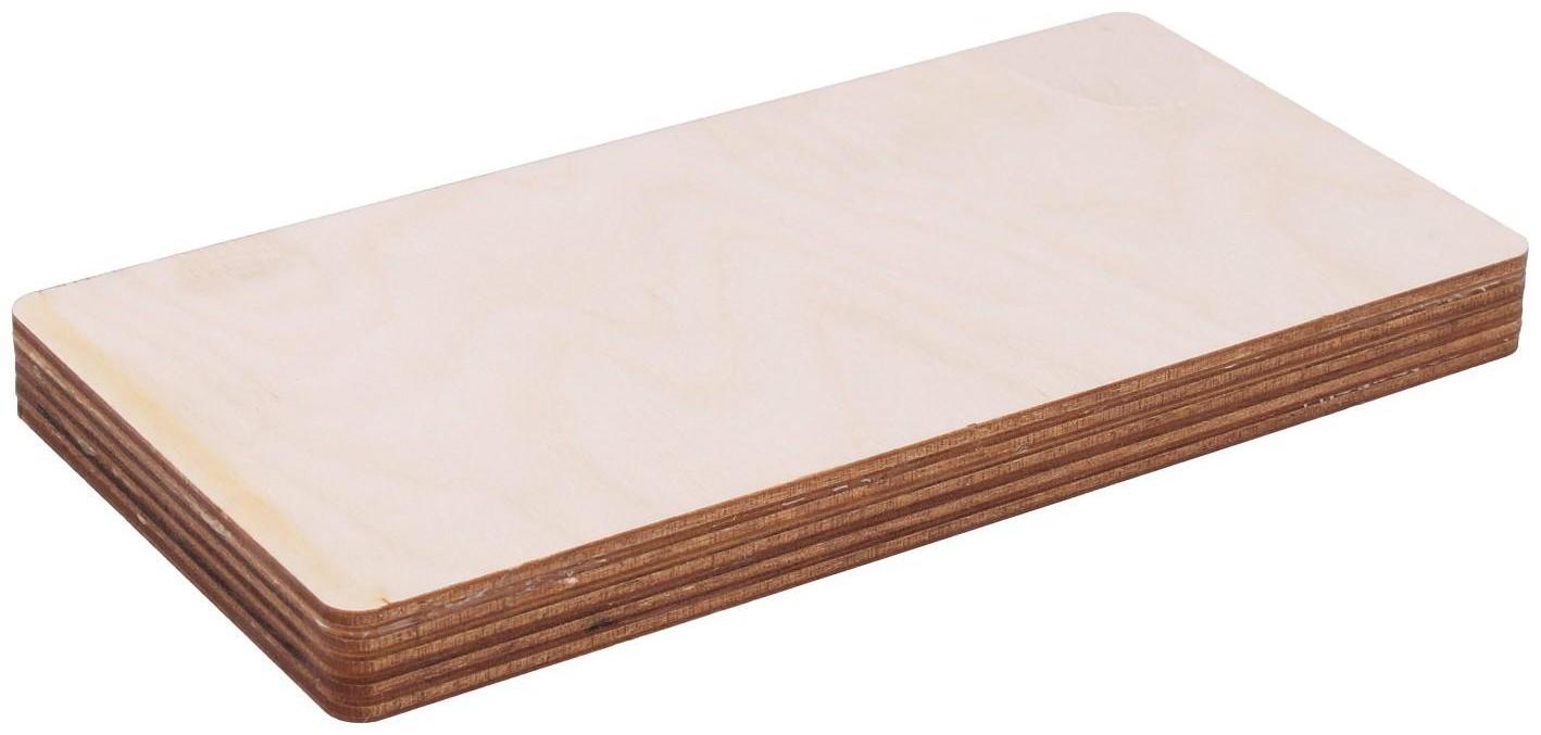 Заготовка для творчества «Купюрница магнитная»