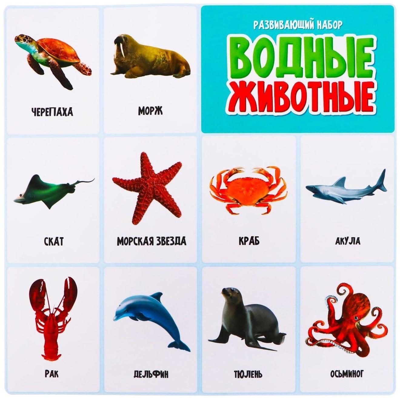 Набор фигурок животных с обучающими карточками «Водные животные»