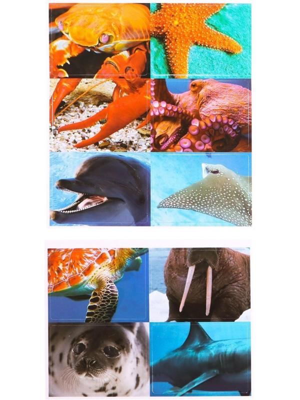 Набор фигурок животных с обучающими карточками «Водные животные»