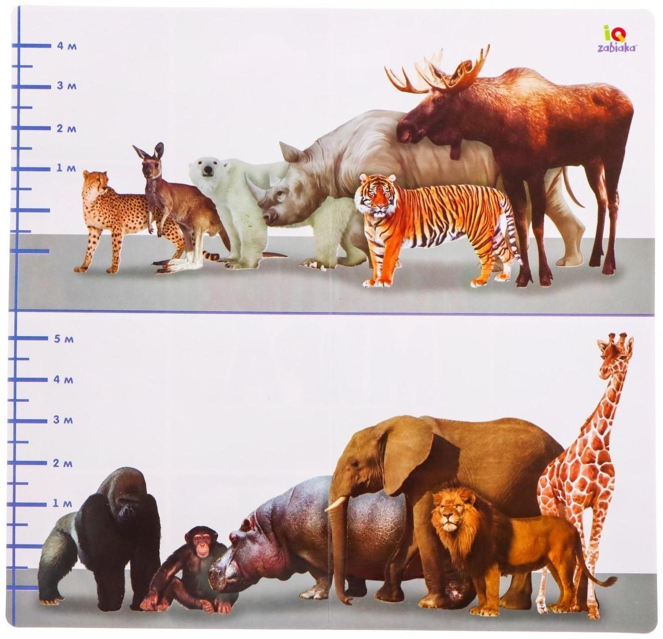 Набор фигурок животных с обучающими карточками «Животные мира»