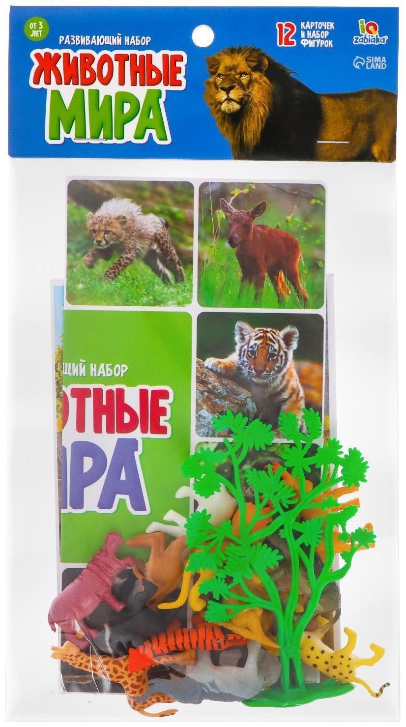 Набор фигурок животных с обучающими карточками «Животные мира»