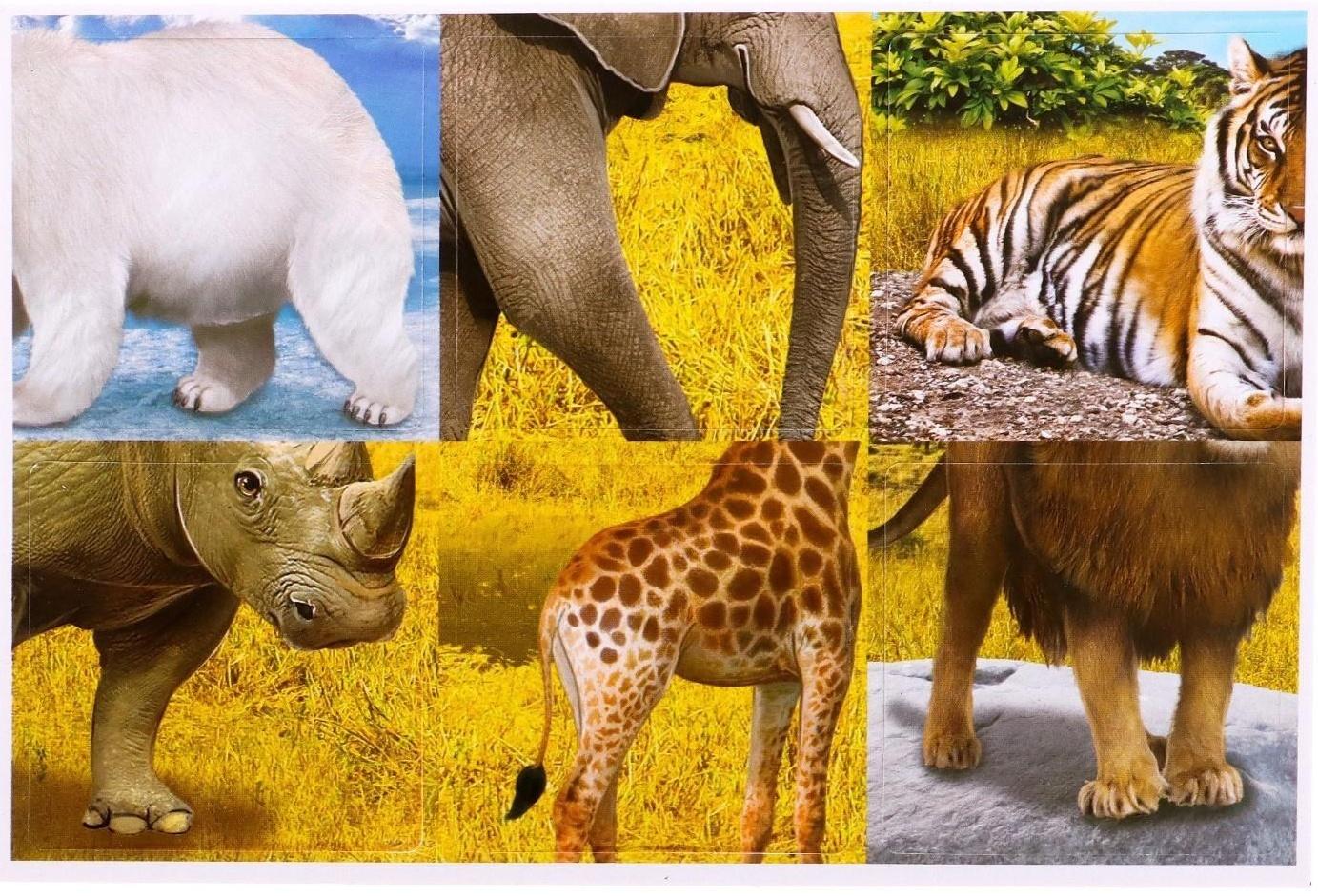 Набор фигурок животных с обучающими карточками «Животные мира»