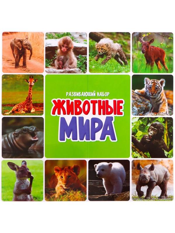Набор фигурок животных с обучающими карточками «Животные мира»