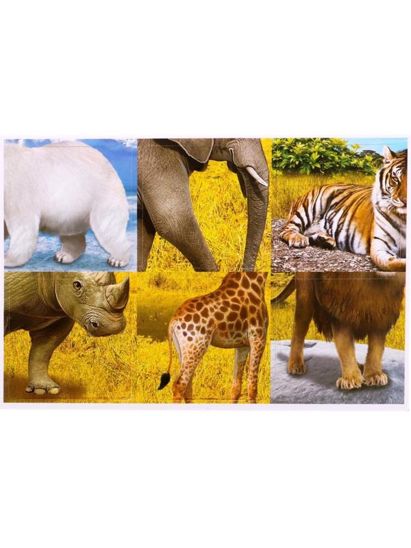 Набор фигурок животных с обучающими карточками «Животные мира»